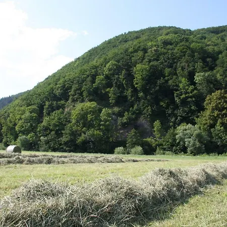 Hof Hinter Der Muehle * Gutach