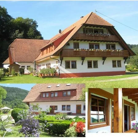 Hof Hinter Der Muehle Apartment Gutach