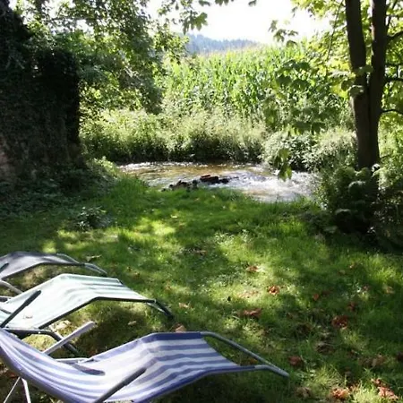 Hof Hinter Der Muehle Apartment Gutach