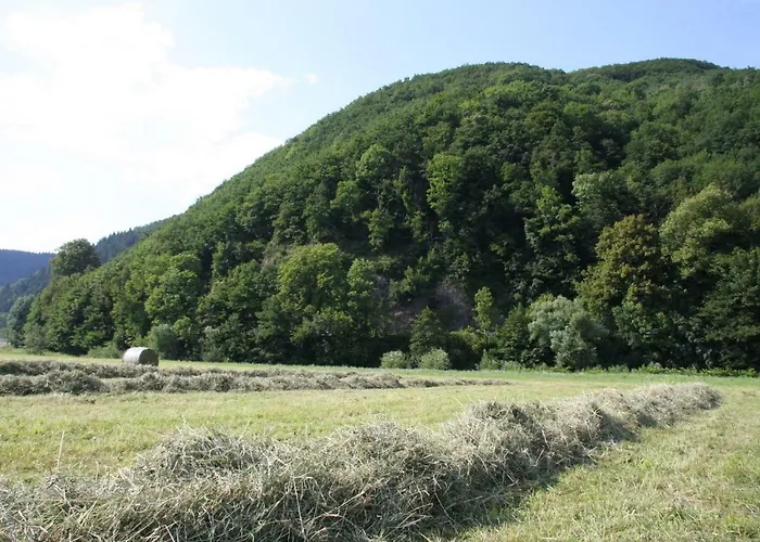 Hof Hinter Der Muehle * Gutach