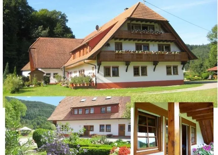 Hof Hinter Der Muehle Apartament Gutach